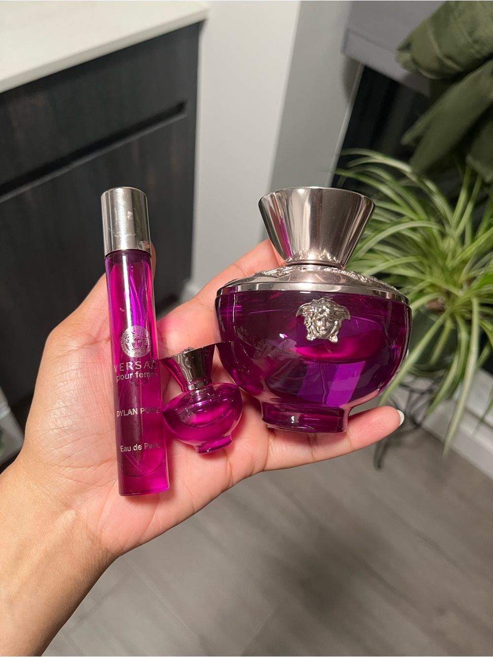 versace dylan purple bundle